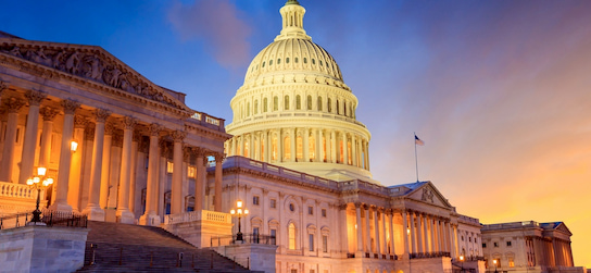 the US Capitol Building in Washington, DC