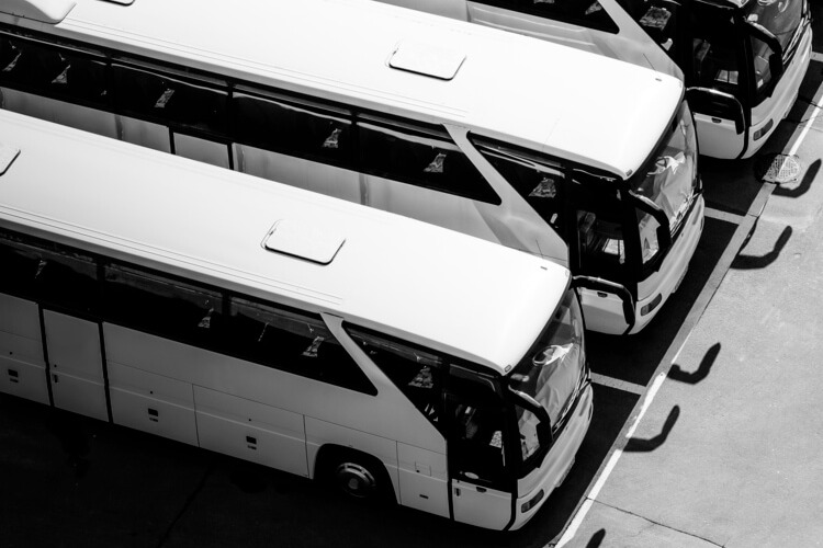 a lineup of charter bus rentals in a parking lot